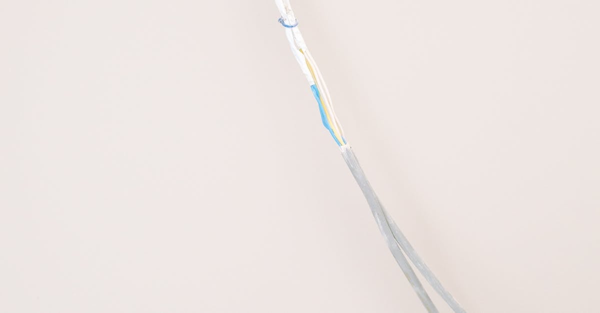 Tips for Creating a Sustainable Energy Plan for Your Business